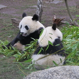 Zoo Schönbrunn, Vídeň 16.12.2017