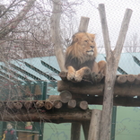 Zoo Schönbrunn, Vídeň 16.12.2017