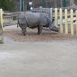 Zoo Schönbrunn, Vídeň 16.12.2017