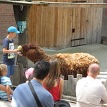 Zoo Praha 16.6.2018