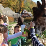 Zoo Jihlava 13.10.2018