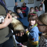 Zoo Brno a Planetárium Brno 13.2.2019