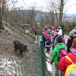 Zoo Brno a Planetárium Brno 13.2.2019
