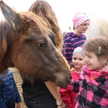 Sobota u koní 4.5.2019