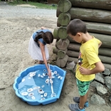 Zahradní slavnost - 70. narozeniny zoo Brno