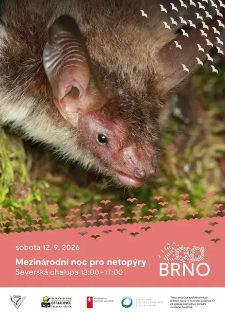 Mezinárodní noc pro netopýry v Zoo Brno