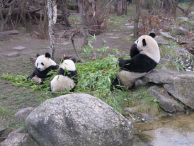 Zoo Schönbrunn, Vídeň 16.12.2017