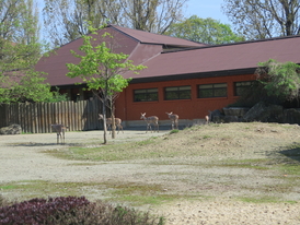 Zoo Dvůr Králové 22.4.2018